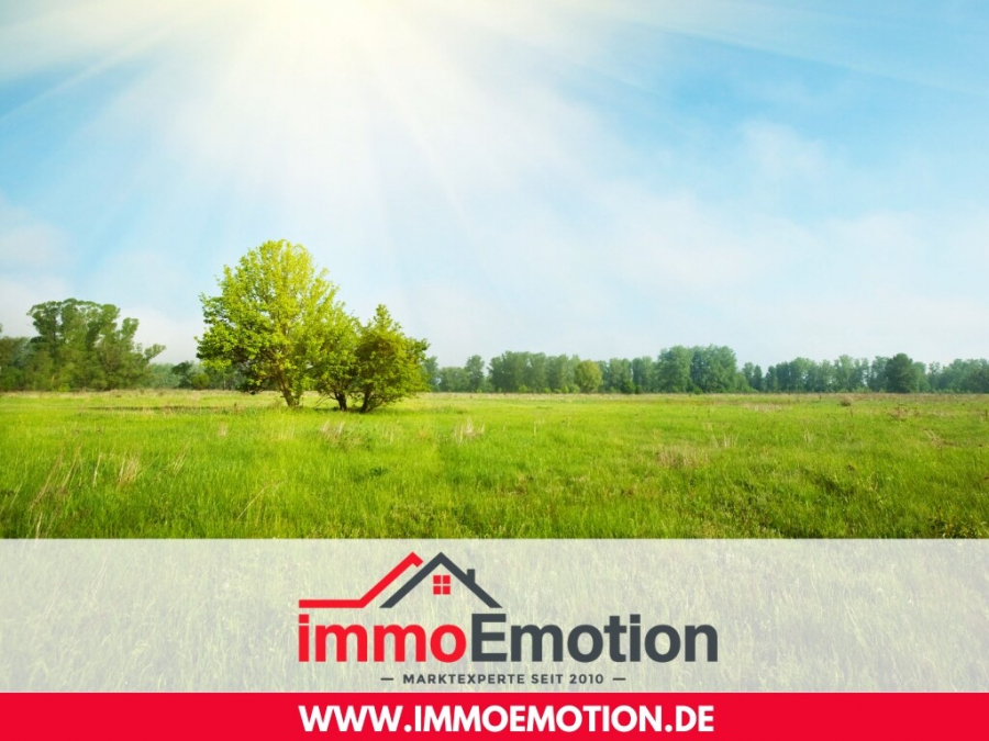 Land & Forstwirtschaftliche-Fläche-in Witzenausen-zu-verkaufen - Land- und forstwirtschaftliche Fläche mit langfristigem Entwicklungspotenzial!